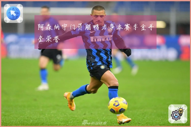 阿森纳守门员腊鸭力争本赛季金手套荣誉