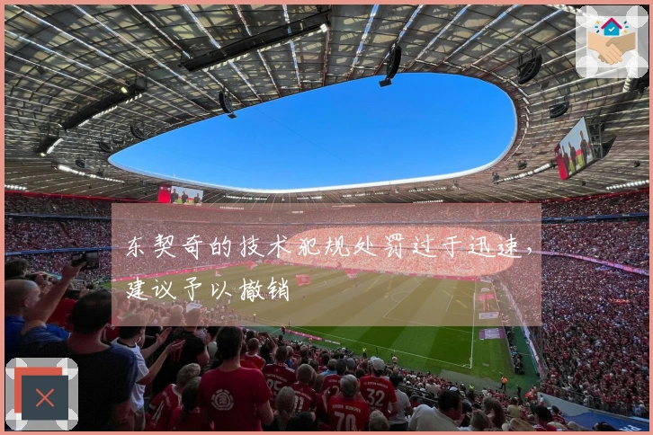 东契奇的技术犯规处罚过于迅速，建议予以撤销