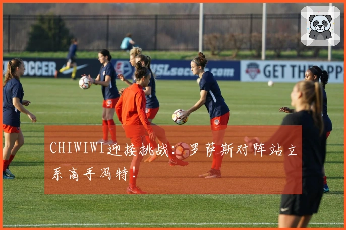 CHIWIWI迎接挑战：罗萨斯对阵站立系高手冯特！